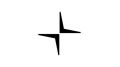 Logo of Polestar - Brussels Lufthavn